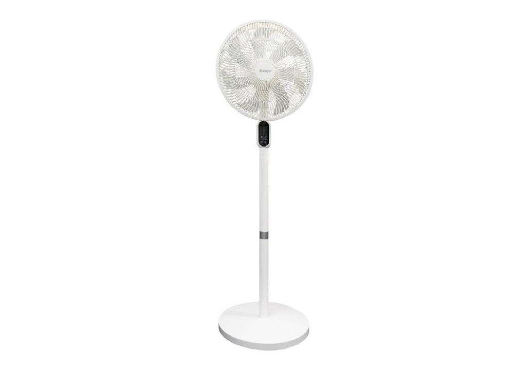 Quạt Đứng Casper F-DS14W1